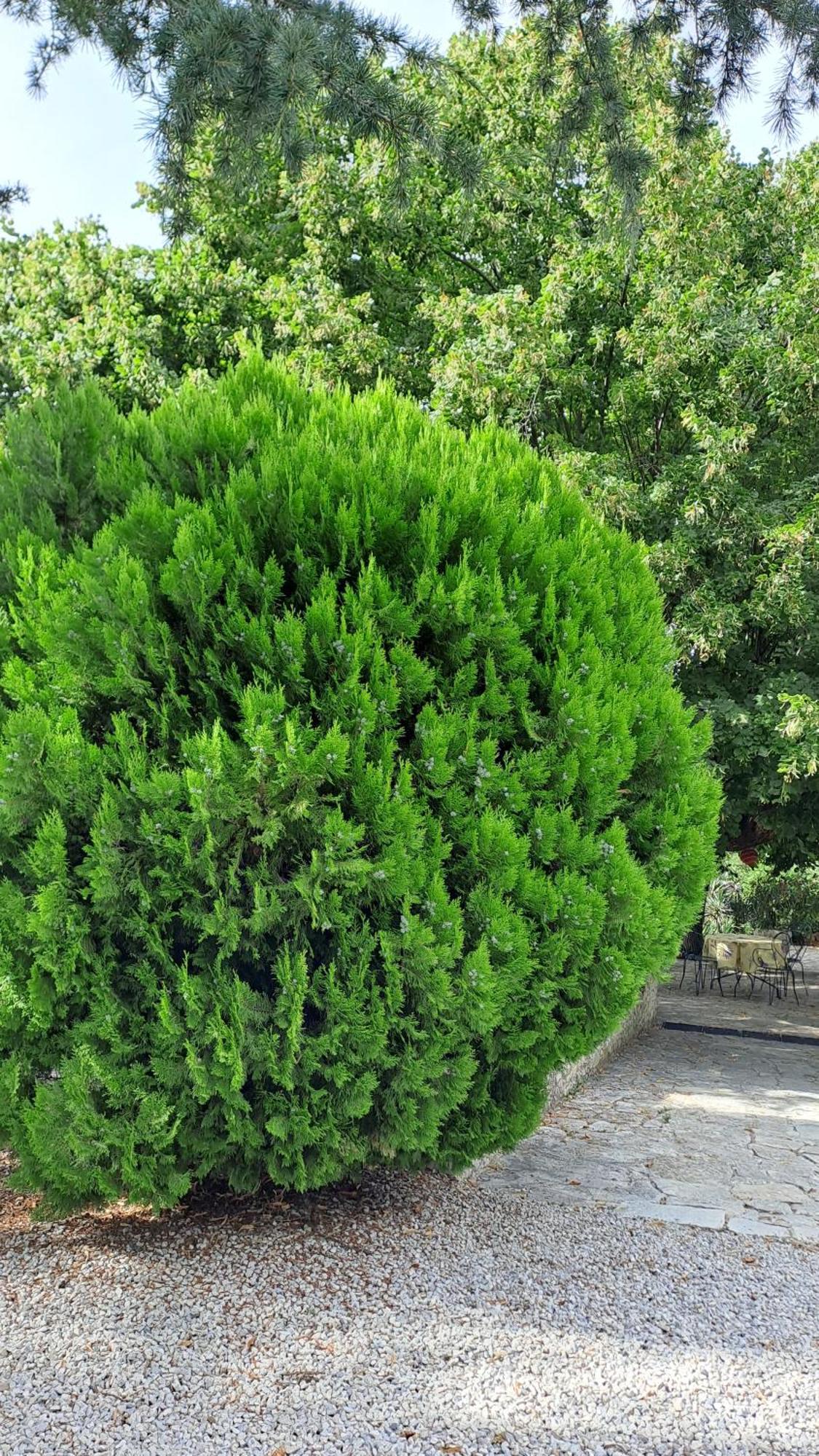 Le Gite Tilia Sablet Exterior photo
